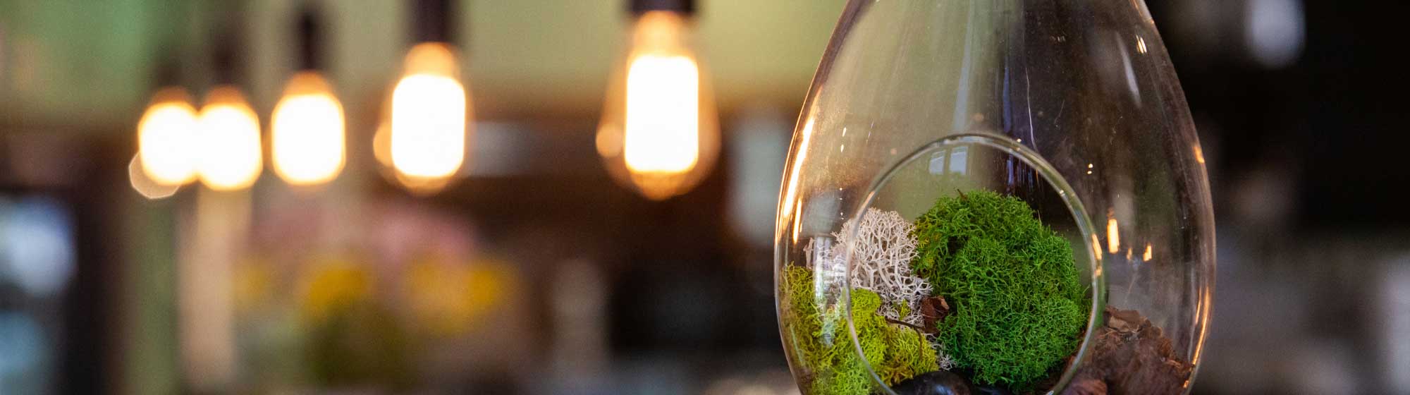 Moss in a drop-shapped glass